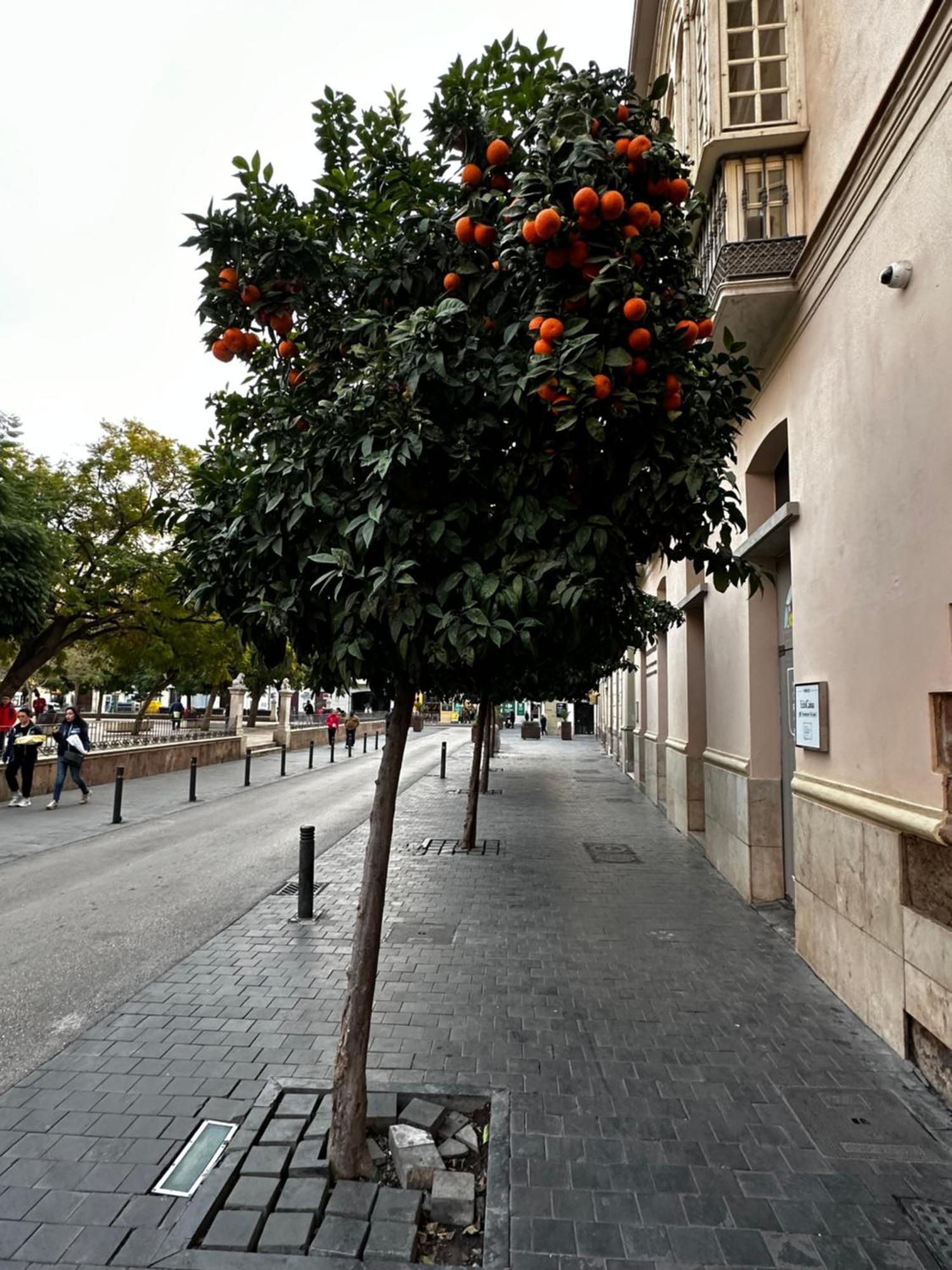 Malaga'S Secret Apartment Екстериор снимка